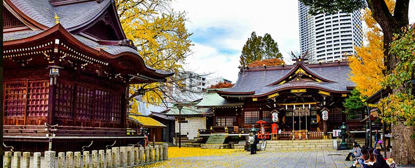 6 مکان دیدنی کیوتو که نباید از دست بدهید